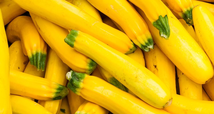 Fresh yellow squash on display at the farmers market