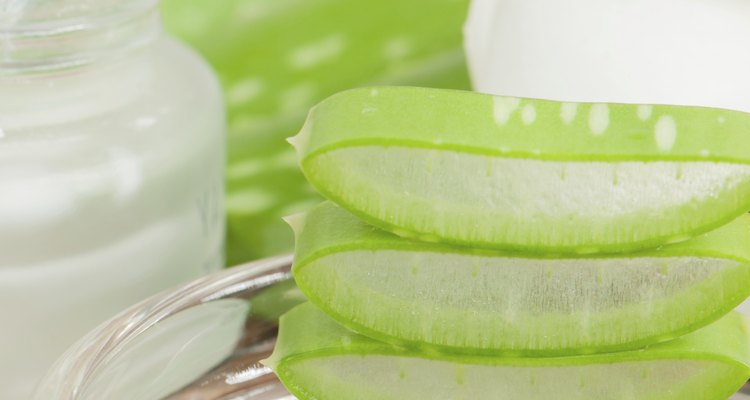 Aloe vera plant for skincare