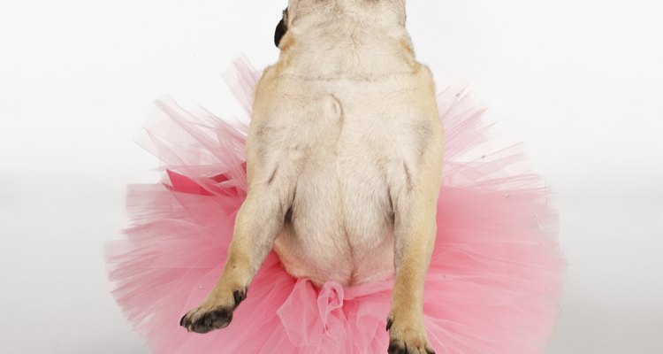 O tule é o tecido perfeito para fazer um tutu