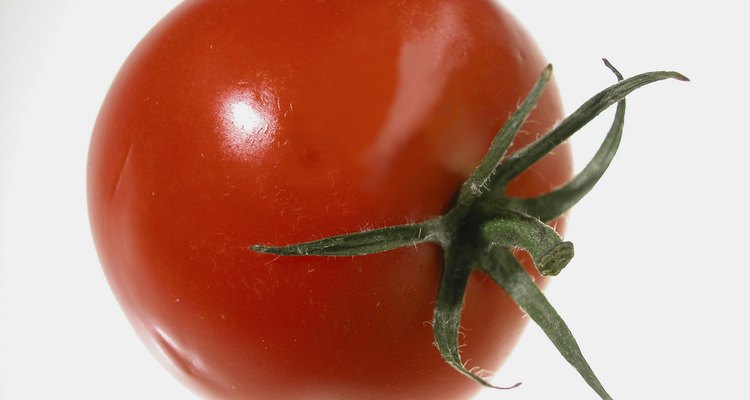 La germinación de semillas de tomate comienza cuando estas alcanzan un nivel de humedad de 30%.