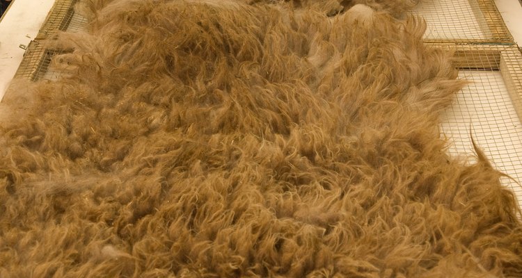 Los molinos de fibra industriales pequeños podrían aceptar órdenes del cliente para procesar tu lana.