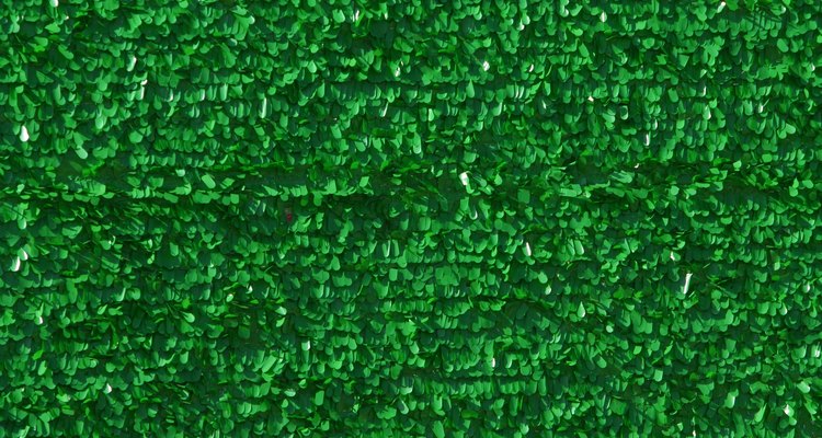 Disinfect artificial turf regularly to prevent the growth of harmful bacteria.