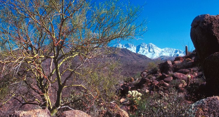 Los cuatro picos de Four Peaks están cubiertos de nieve durante enero y febrero.