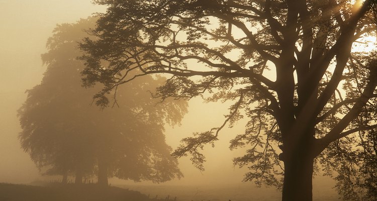 Beautiful Stirling landscape