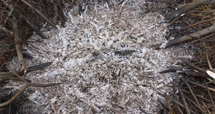 La ceniza de madera contiene carbonato de calcio, lo cuál aumentará la alcalinidad del suelo.