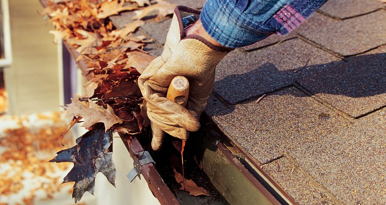 Clear debris from gutters for cash.