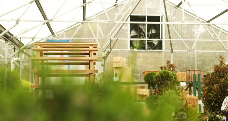 Las plantas, como los animales, necesitan la temperatura adecuada en la cual prosperar.