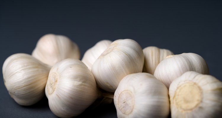 Cabeça e dentes de alho