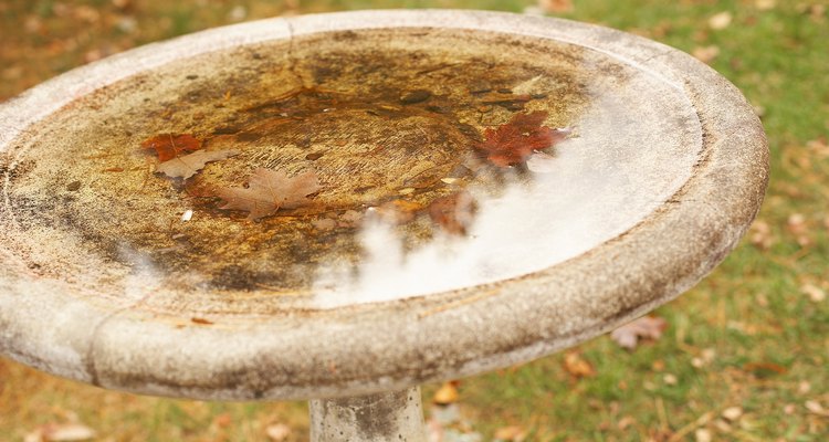 Cracks and chips in a concrete birdbath can be repaired.