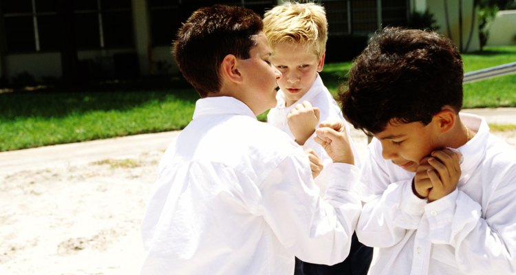 El bullying con frecuencia contiene una fuerza social dinámica, como la raza.