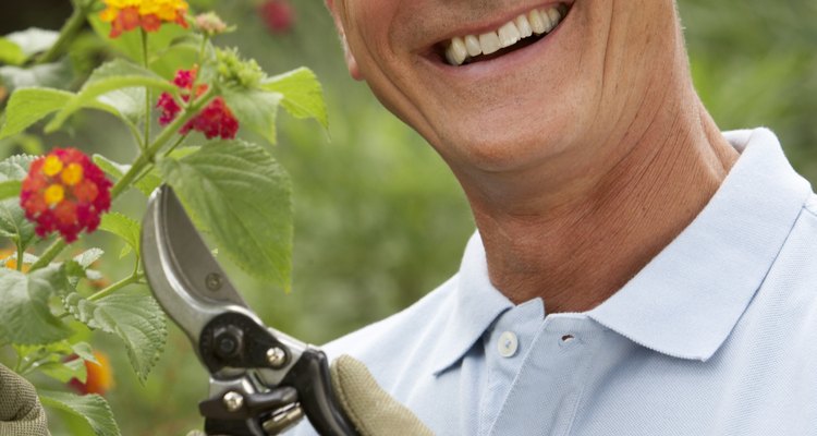 Las tijeras para flores son otro tipo de tijeras de podar que están diseñadas para los tallos delicados de las flores.