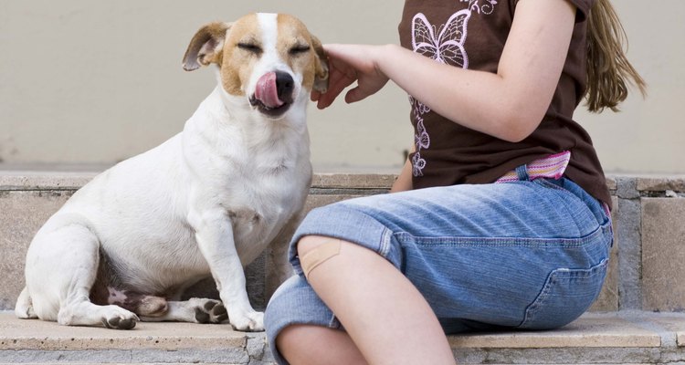 Los dueños responsables de mascotas limpian lo que hacen sus perros.