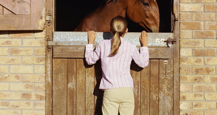 Split doors are the best option for stables.