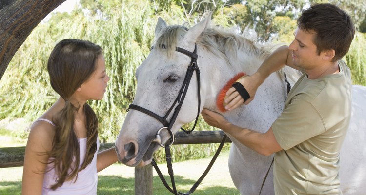 ¿Cuáles son las causas de la pérdida de pelo en los caballos?