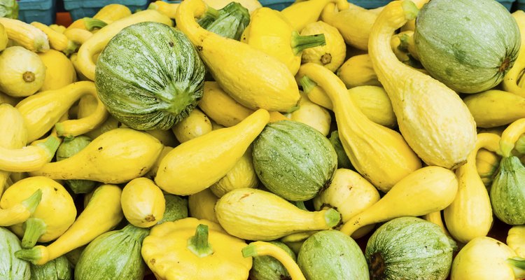 Squash in a bulk display at the market