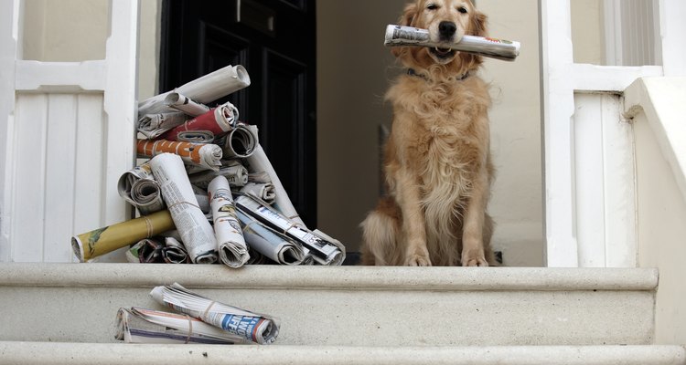 Making your newsletter stand out from the competition can be difficult.