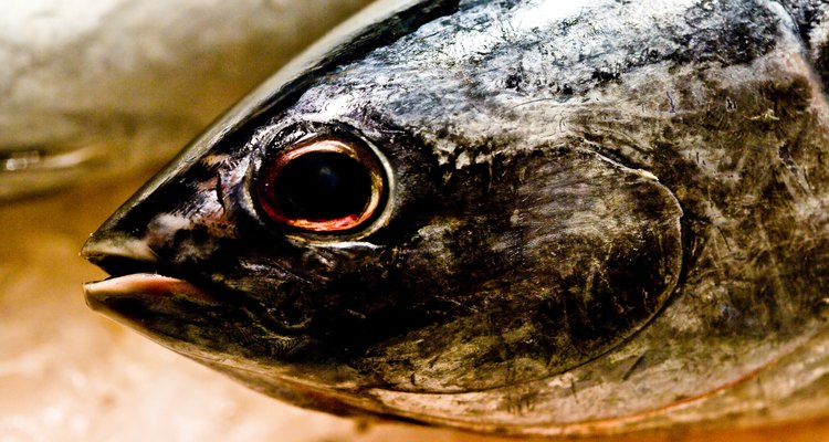 Get rid of a fish sauce cooking smell naturally.