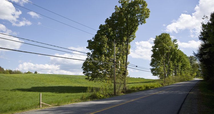 Las compañías eléctricas locales son responsables de mantener la mayoría de los árboles fuera del alcance de los cables eléctricos.