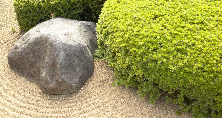 Las rocas son fuentes de minerales para las mariposas.