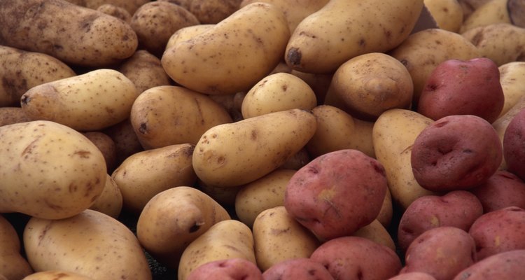 Plante cascas de batatas para produzir a próxima safra