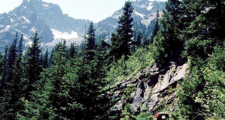 El sendero Daniel Boone tiene abruptas porciones rocosas que lo hacen difícil y riguroso.