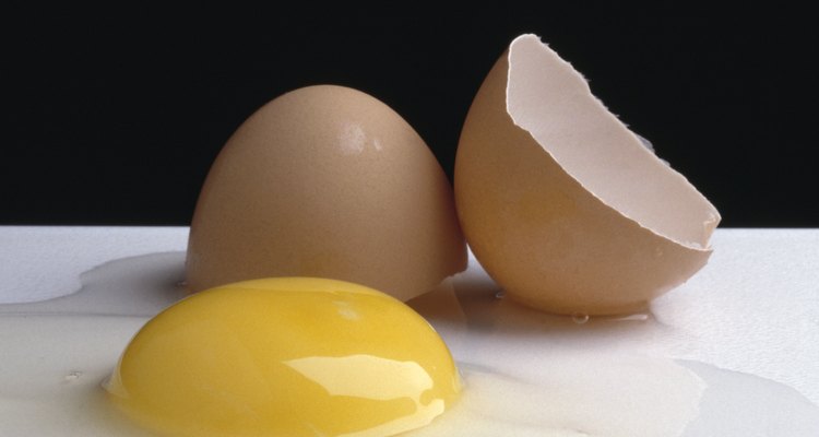 O ovo é muito bom para a saúde. Sua clara ajuda a limpar a garganta e melhora o raciocínio