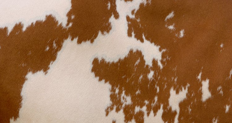 Cuida correctamente tu alfombra de piel de vaca para prolongar su vida útil.