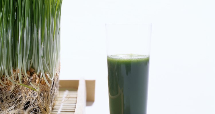 Wheat grass and juice.