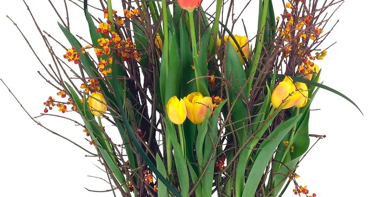 Mantén los tulipanes lejos de los respiraderos de calefacción y calentadores.
