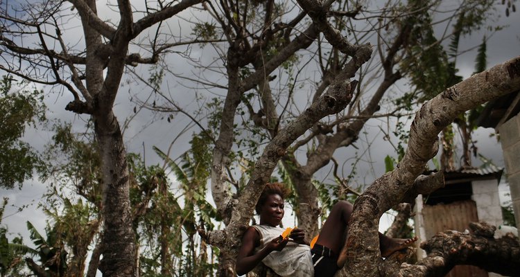 Haitians Live Precarious Existence on DR Agricultural Plantations