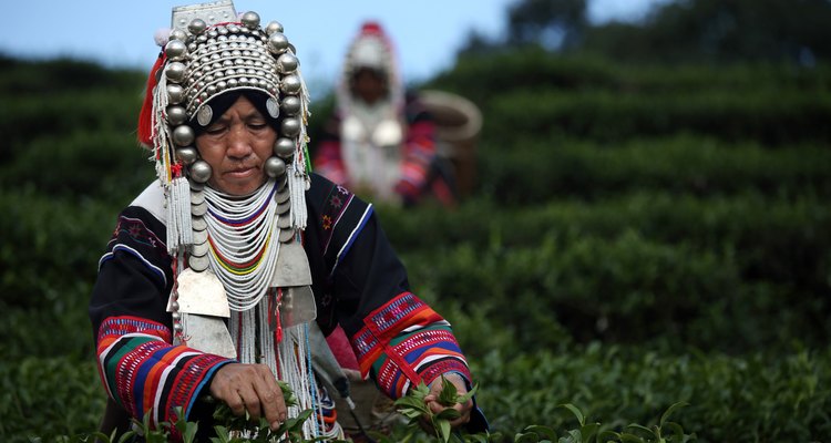 La tribu Akha cultiva hojas de té y vegetales.