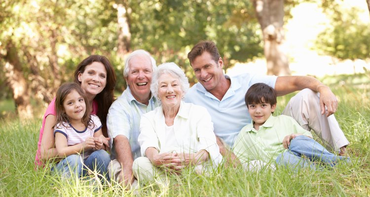 Portrait Of Extended Family Group In Park