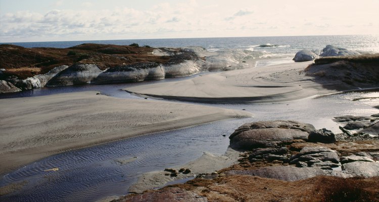 Piscinas naturais são uma das muitas variedades de ecossistemas