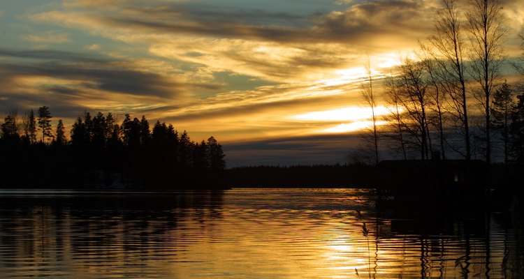 Ponds offer food and a breeding ground for non-biting gnats.