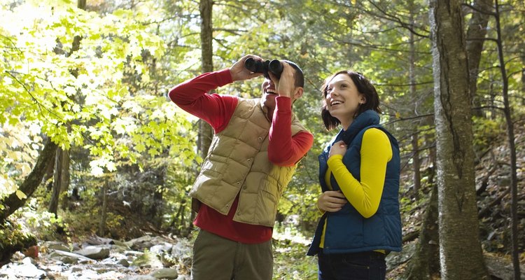The high quality of Swarovski binoculars makes them a popular choice for identifying birds from a distance.