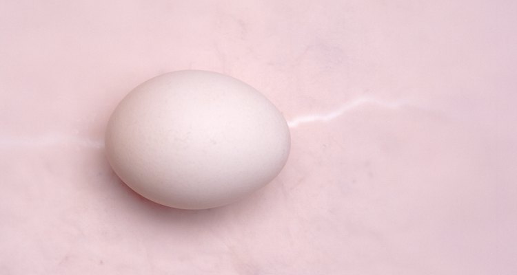 Use egg whites to see how protease can break protein down.