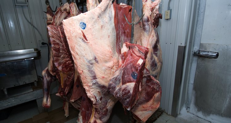 Las carnes que se han echado a perder son propensas a causar hedor.