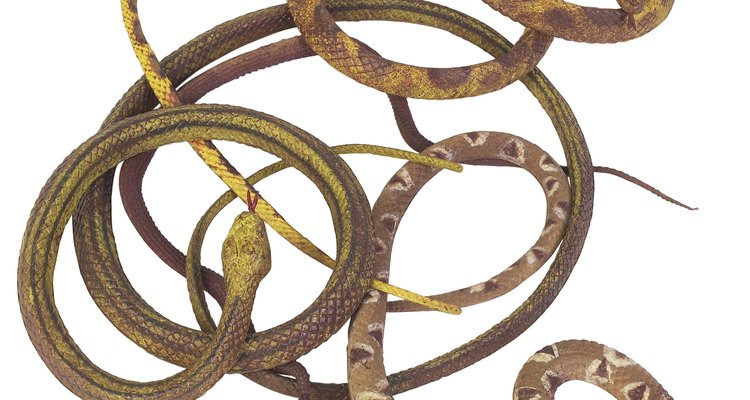 Algunos tipos de serpientes se congregan en un pozo para hibernar.