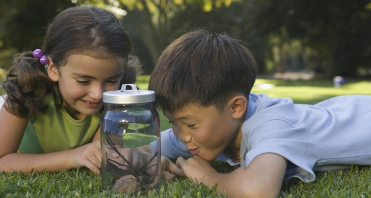 Las actividades científicas desarrollan destrezas de observación.