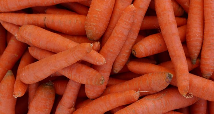 Las zanahorias y los nabos son raíces principales comúnmente comestibles.