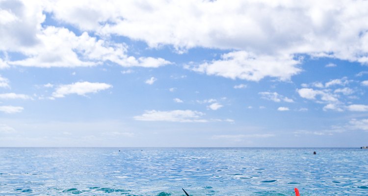 Mete la cabeza en las aguas dominicanas.