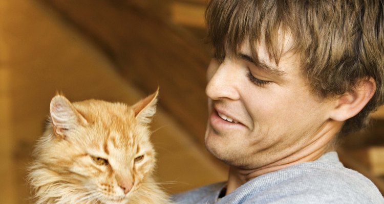 O gato muitas vezes coloca a para no rosto do dono quando o mesmo está dormindo porque quer carinho ou brincar