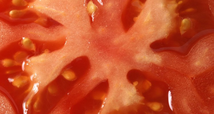 Coloca las semillas de tomate en la bandeja.
