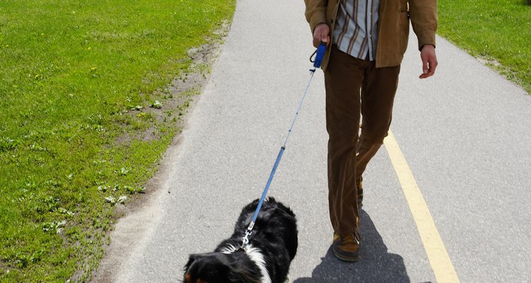 Retractable leashes are more likely to cause leash burn.