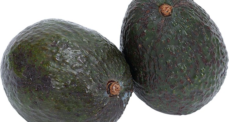 Hoje, essas frutas são cultivadas em todo o mundo