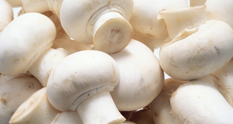 O champignon desenvolve um profundo sabor de carne quando é cozido