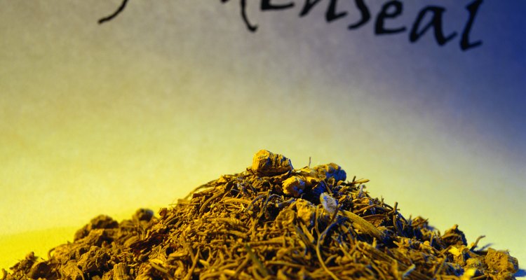 Goldenseal plants and seeds can be ordered from online nurseries.