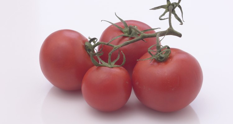 Las semillas de tomates frescos crecen como las semillas envasadas.