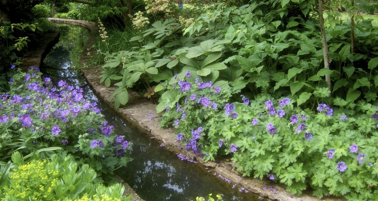 A rill can be a feature in a flower garden.