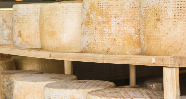 series of round forms of cheese for sale in market